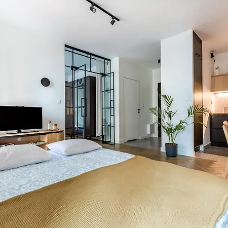 Szmulki Loft By Aparo - Metro, Koneser, Stare Miasto, Dworce, Spacer Nad Wisla, Winda, Balkon